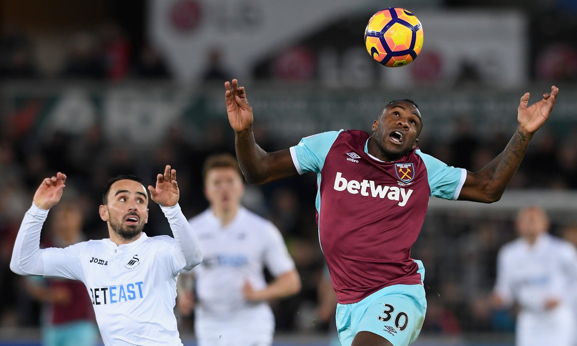 地进行无观 地进行无观